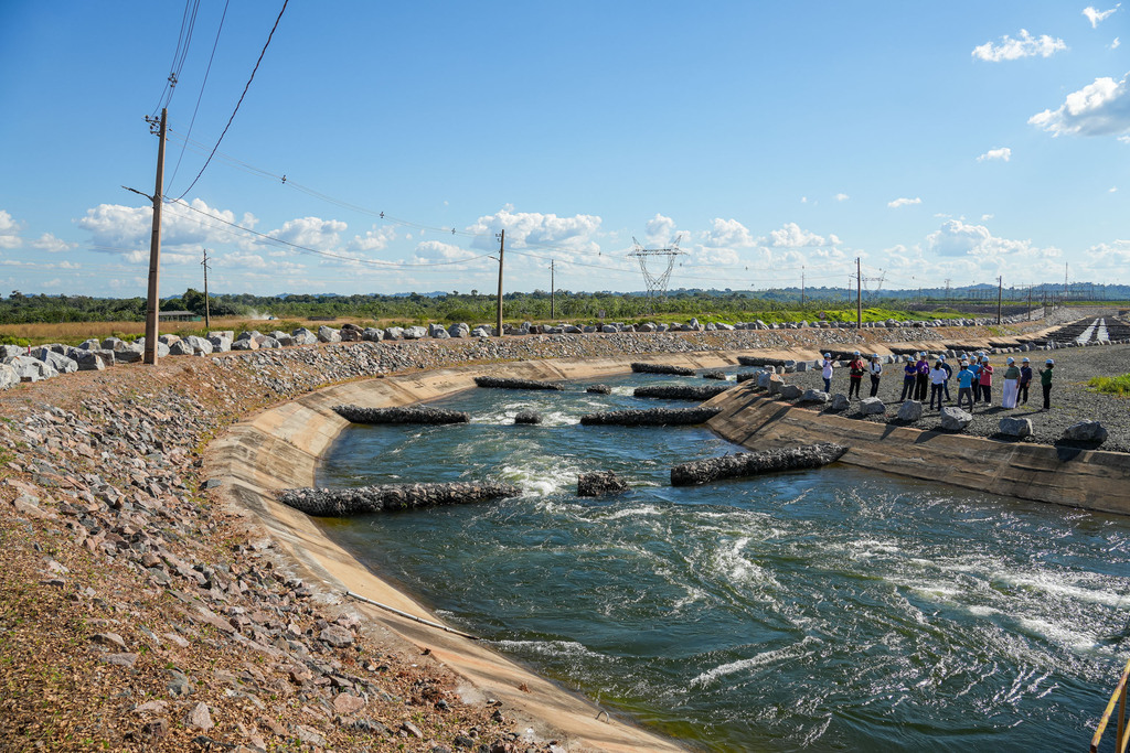 Projeto inédito no Brasil usa IA para monitorar peixes do rio Xingu