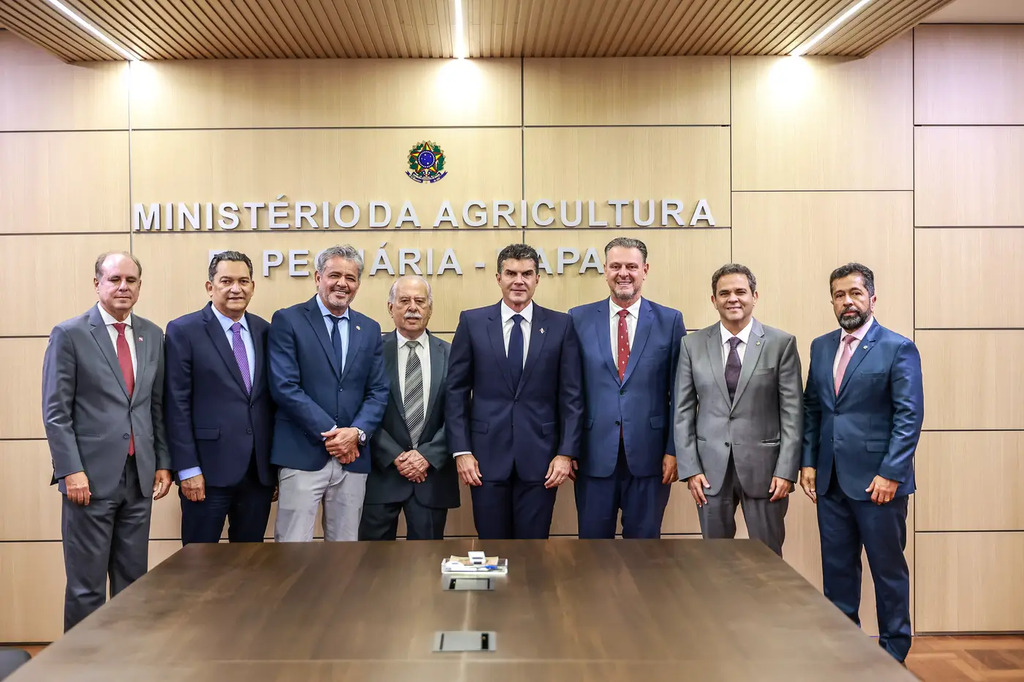 Governador Helder Barbalho articula medidas em Brasília para proteger cacau do Pará e ampliar exportação de carne aos EUA