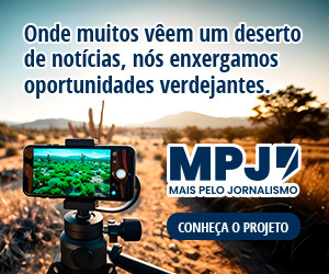 /apidata/imgcache/676934f3b347bb11ac29e12aa7bbf424.jpeg?banner=col4&when=1764993396&who=66