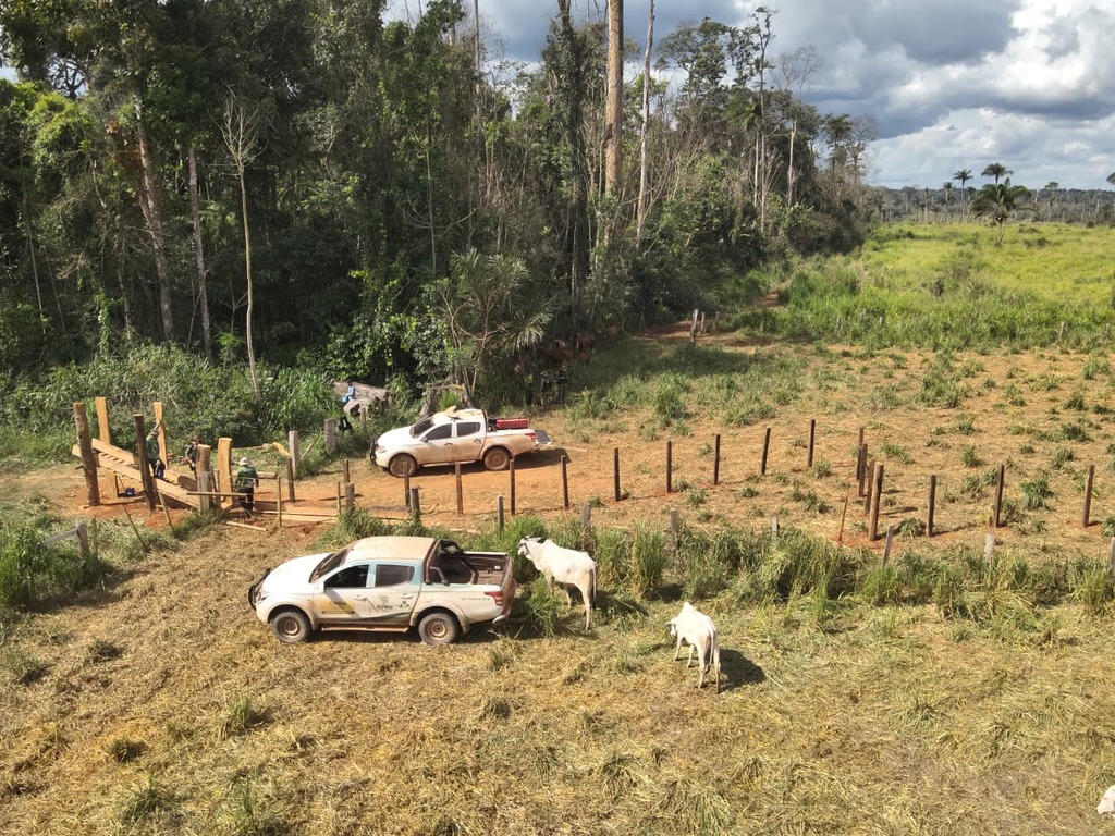 ICMBio deflagra Operação Pasto Nullus contra pecuária ilegal e desmatamento na Estação Ecológica da Terra do Meio