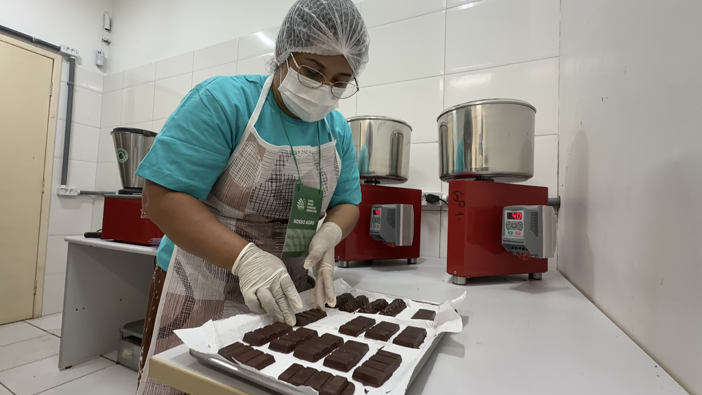 Da amêndoa à barra: curso transforma cacau em oportunidades para mulheres do Médio Xingu