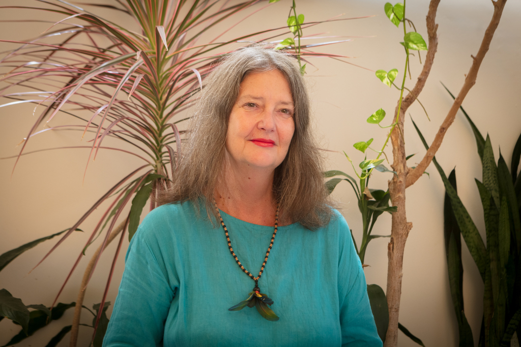 Fundação Heinrich Böll se manifesta sobre declaração de Chanceler alemão após Cúpula dos Líderes da COP30, em Belém